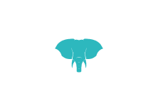 Blue elephant icon